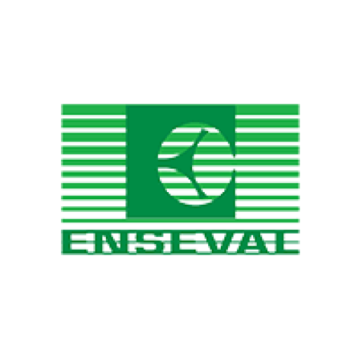 PT Enseval Putera Megatrading Tbk