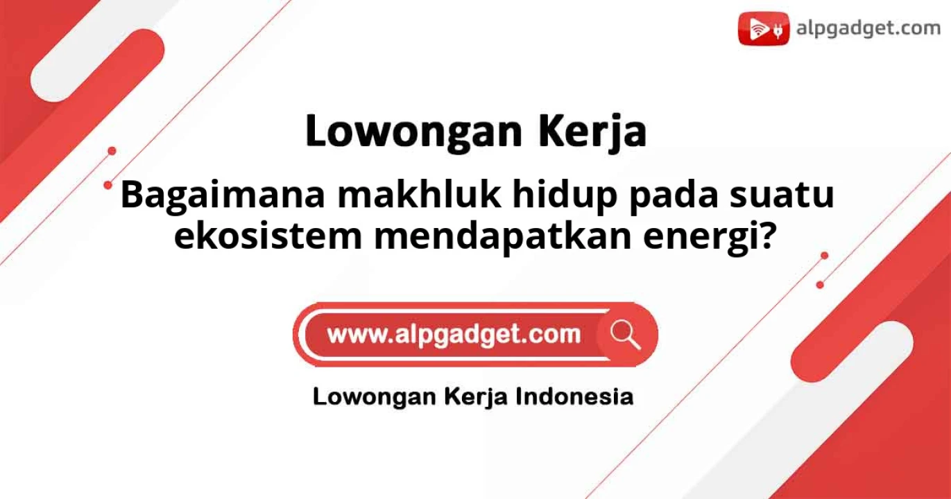 Bagaimana makhluk hidup pada suatu ekosistem mendapatkan energi?