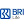 PT Bank Rakyat Indonesia (Persero) Tbk