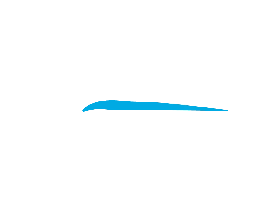 Pacific AI Advisory